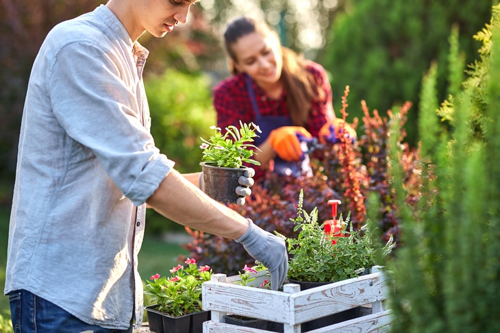 Personen sind in einem Garten und pflegen Pflanzen, Eine sortiert Zierpflanzen in einer Holzkiste, die andere schneidet ein Gebüsch. Der Hintergrund ist verschwommen, dennoch ist die Kulisse eines Gartens in Grüntönen erkennbar. 