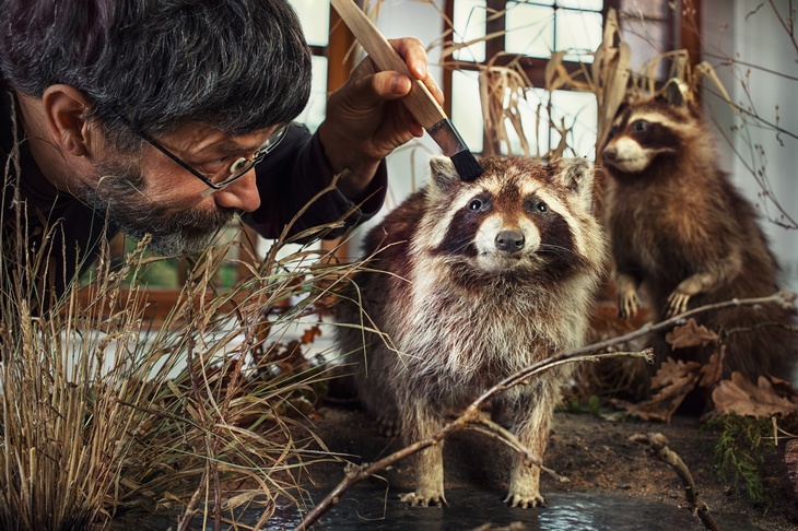 Eine Person streicht mit einem Pinsel ein ausgestopftes Tier, im Hintergrund ist ein weiteres Tier. Die Tiere stehen auf einer erdigen Oberfläche, auf der auch Gras und Moos zu sehen sind. 